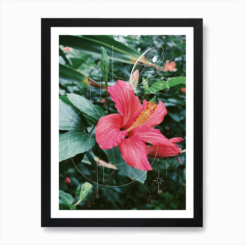 Hibiskusblüte kunstdruck - hibiskusblüte,