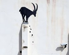 Banksy Goat 8 x 10 Print
