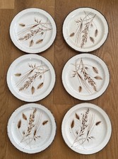 6 Stück Midwinter Stonehenge WILD OATS kleiner Teller D 20,3  cm Kuchenteller