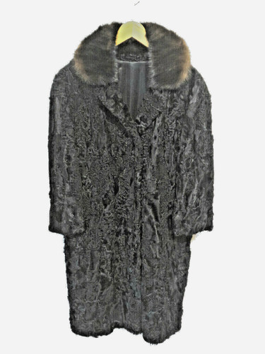 Classisch eleganter persianer - classisch, persianer-