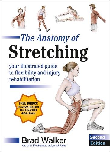 The anatomy stretching - the,