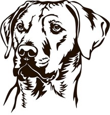 Rhodesian ridgeback aufkleber - ridgeback,