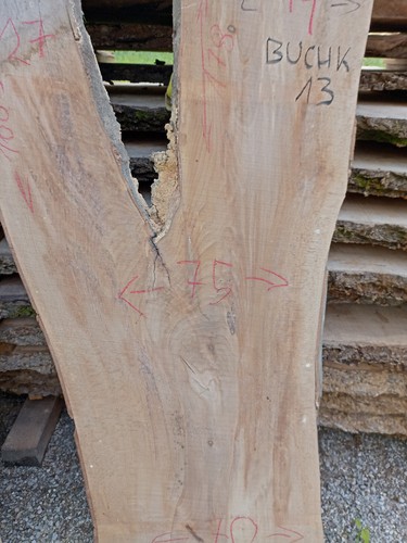 Buche bohle brett baumkante - 1x,