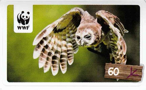 Rewe wwf tier abenteuer - rewe,