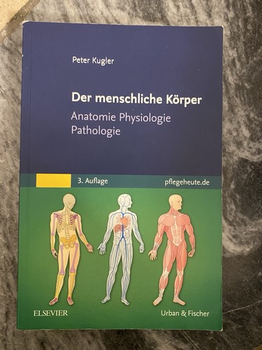 Der menschliche körper von - der,