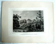 Orig alt Bild Grafik Weimar Schloß Ettersburg 1850-1900 Biedermeier Gründerzeit