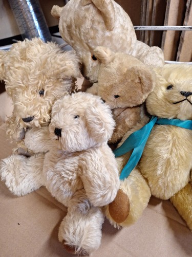 Alte teddybären - teddybären, st.