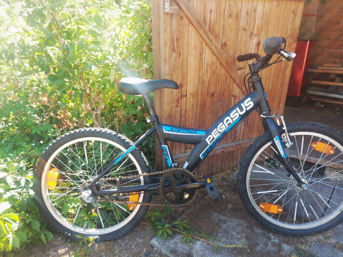 Pegasus arcona mountainbike - pegasus,