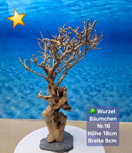 Aquarium wurzel bonsai - 🌳aquarium,
