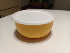 Tupperware Ergonomica