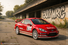 1:18 Solido - Peugeot 307 WRC #5 Rally Montecarlo - Ersatzteile - Spare Parts