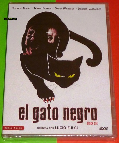Gato negro black cat - el,