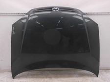 Motorhaube Ural Mountain