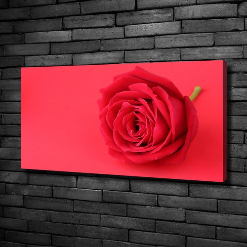 Leinwandbild kunst druck - leinwandbild, kunst-druck