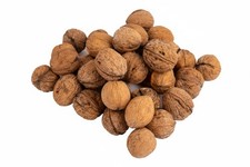 Walnüsse mit Schale von 1-100 kg – Getrocknet, Kalibriert, Ernte 2025 aus Polen