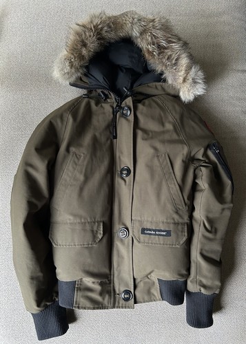 Canada goose chilliwack - goose,