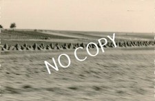 Foto WK II, Landschaft Panzersperren Osteuropa B 1.36