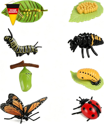 Insekten modell set - insekten,