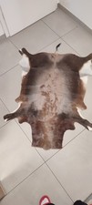 Blessbockfell  XXL - Antilope