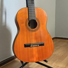 Renata Akustikgitarre 4/4 +