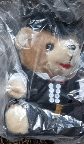 Teddybär als