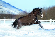 Horseware Turnout RAMBO WUG