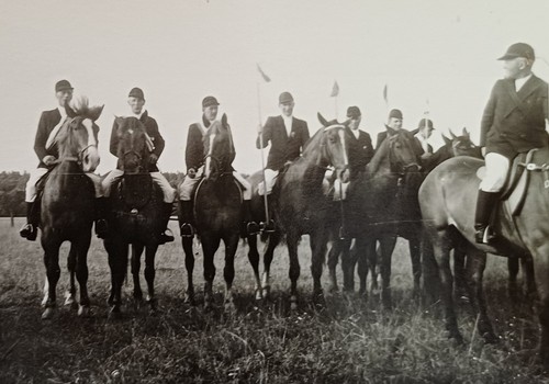 Pferderennen pferdesport jagd - pferderennen,