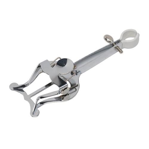 Tragbare leier clampon noten - leier,