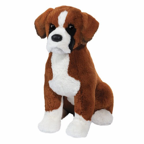 Chance boxer hund - chance,