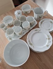 ROSENTHAL MONBIJOU GRÜNE RANKE KAFFEE TAFEL ESS SERVICE GESCHIRR