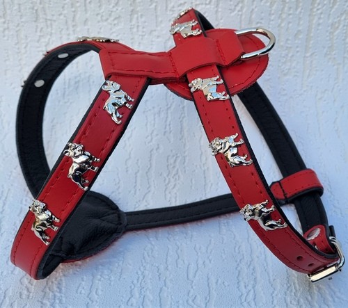 Bully französische bulldogge - französische,