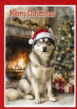 Weihnachtskarte Siberian Husky