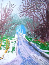 David hockney lithographie - david,