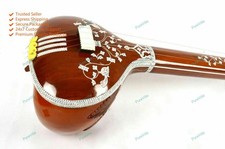 Hochprofessionelle indische