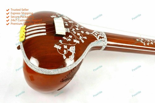 Hochprofessionelle indische