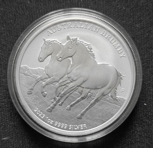 Australian brumby 2023 - australian,