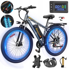 1000w E-bike Mountainbike