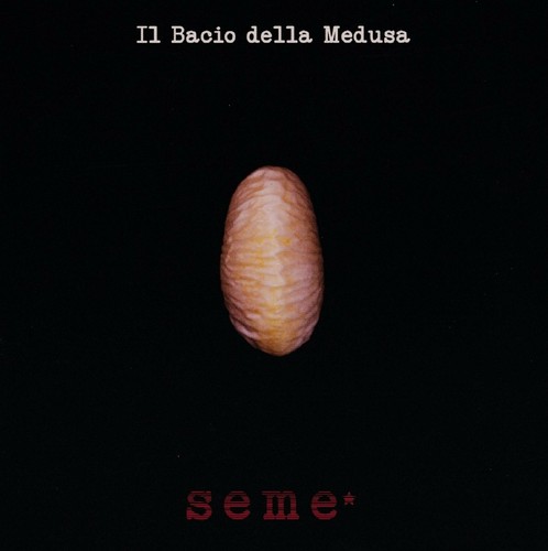 Bacio della medusa seme - bacio,
