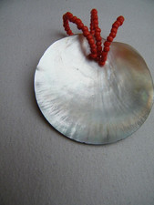 Schmuck perlmutt koralle - schmuck, perlmutt-koralle