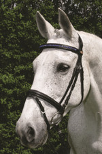 Hans Melzer Trense Schenefeld