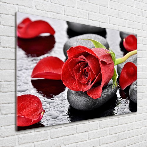 Acrylglas bild wandbilder - acrylglas-bild,