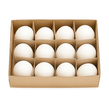 12 Gänseeier weiß echt