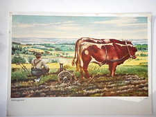 Künstler Josef Steib MITTAGSRAST Ansichtskarte