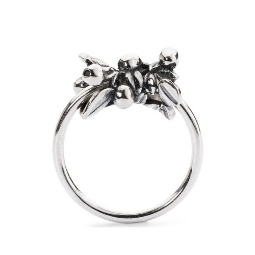 Trollbeads tagri 00274 ring - trollbeads,