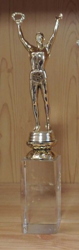 Sieger figur auf glas cm - sieger,