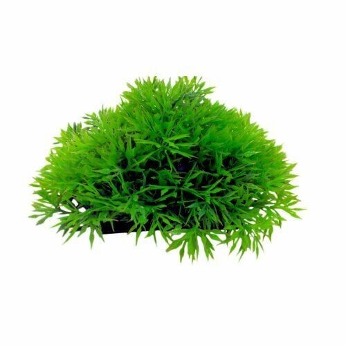 Aquarium abdeckung pflanze - abdeckung, 2