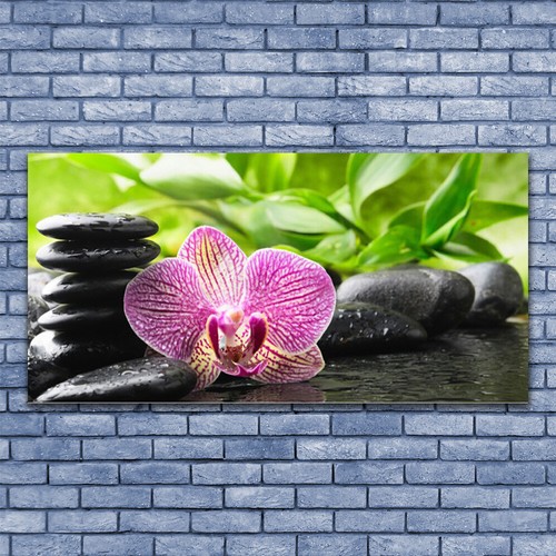Acrylglasbilder wandbilder aus - acrylglasbilder,