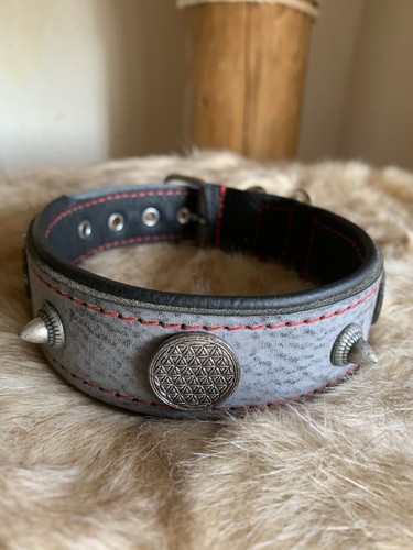 Hundehalsband leder breit - hundehalsband,