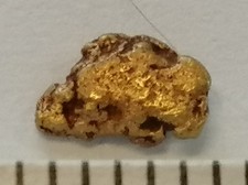 XXL Goldnugget, 5,3 mm