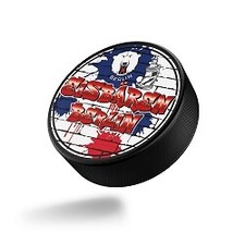 Eisbären Berlin - Fan Puck -